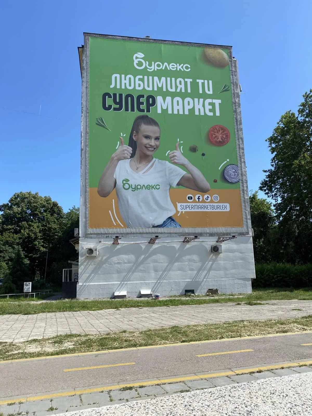 chajka